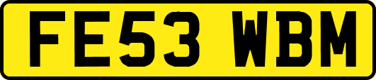 FE53WBM