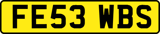 FE53WBS