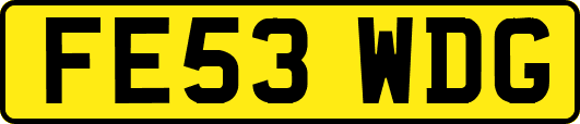FE53WDG