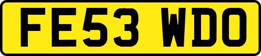FE53WDO