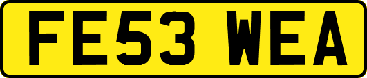 FE53WEA