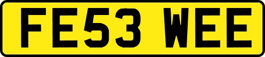 FE53WEE