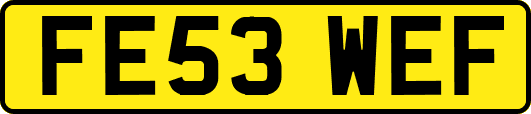FE53WEF