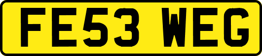 FE53WEG