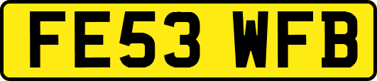 FE53WFB