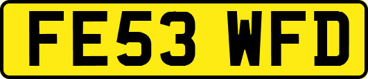 FE53WFD