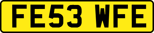 FE53WFE