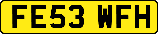 FE53WFH
