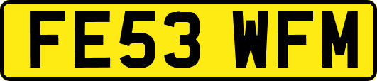 FE53WFM