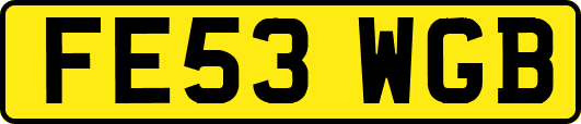 FE53WGB