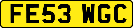 FE53WGC