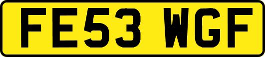 FE53WGF