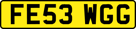 FE53WGG