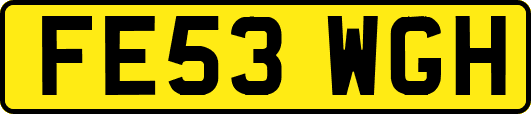 FE53WGH