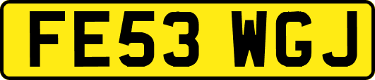 FE53WGJ
