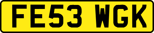 FE53WGK