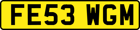 FE53WGM
