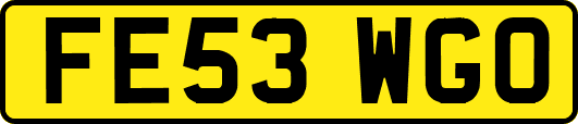 FE53WGO