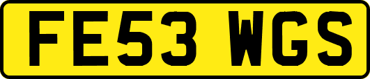 FE53WGS