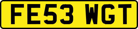 FE53WGT