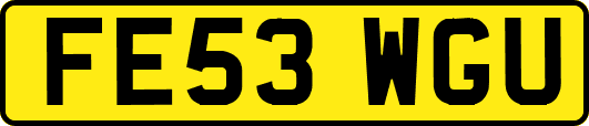 FE53WGU