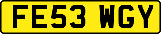 FE53WGY