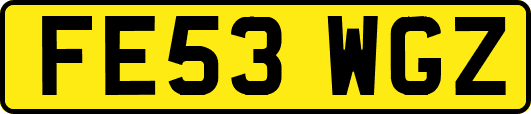 FE53WGZ
