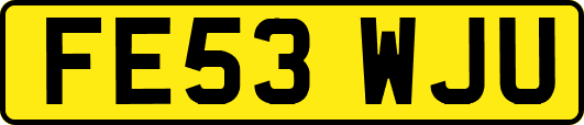 FE53WJU