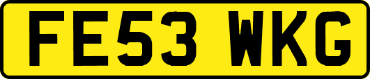 FE53WKG