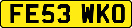 FE53WKO