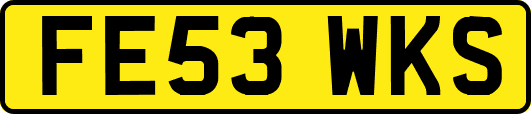 FE53WKS