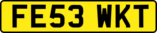 FE53WKT