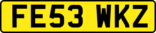 FE53WKZ