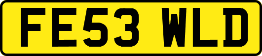 FE53WLD