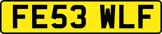 FE53WLF