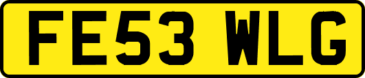 FE53WLG