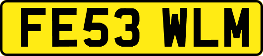 FE53WLM