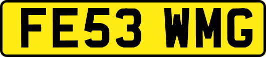 FE53WMG