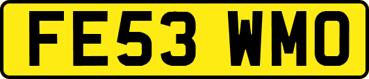 FE53WMO