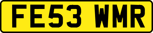 FE53WMR