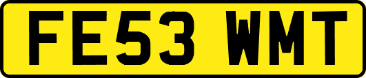 FE53WMT