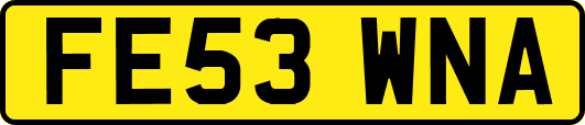 FE53WNA