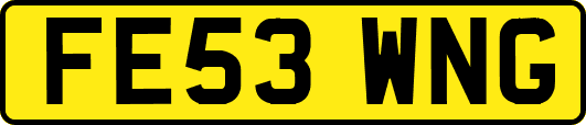 FE53WNG