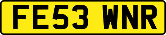 FE53WNR