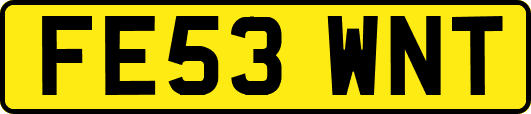 FE53WNT