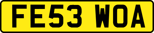 FE53WOA