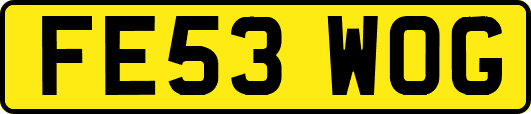 FE53WOG
