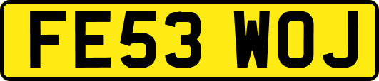 FE53WOJ