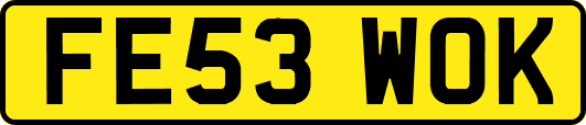 FE53WOK
