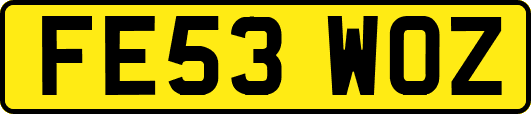 FE53WOZ